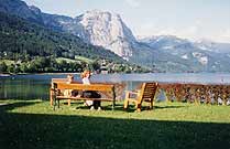 Ausblick